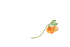 Brand Flower Graphic