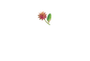 Brand Flower Graphic