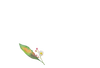 Brand Flower Graphic