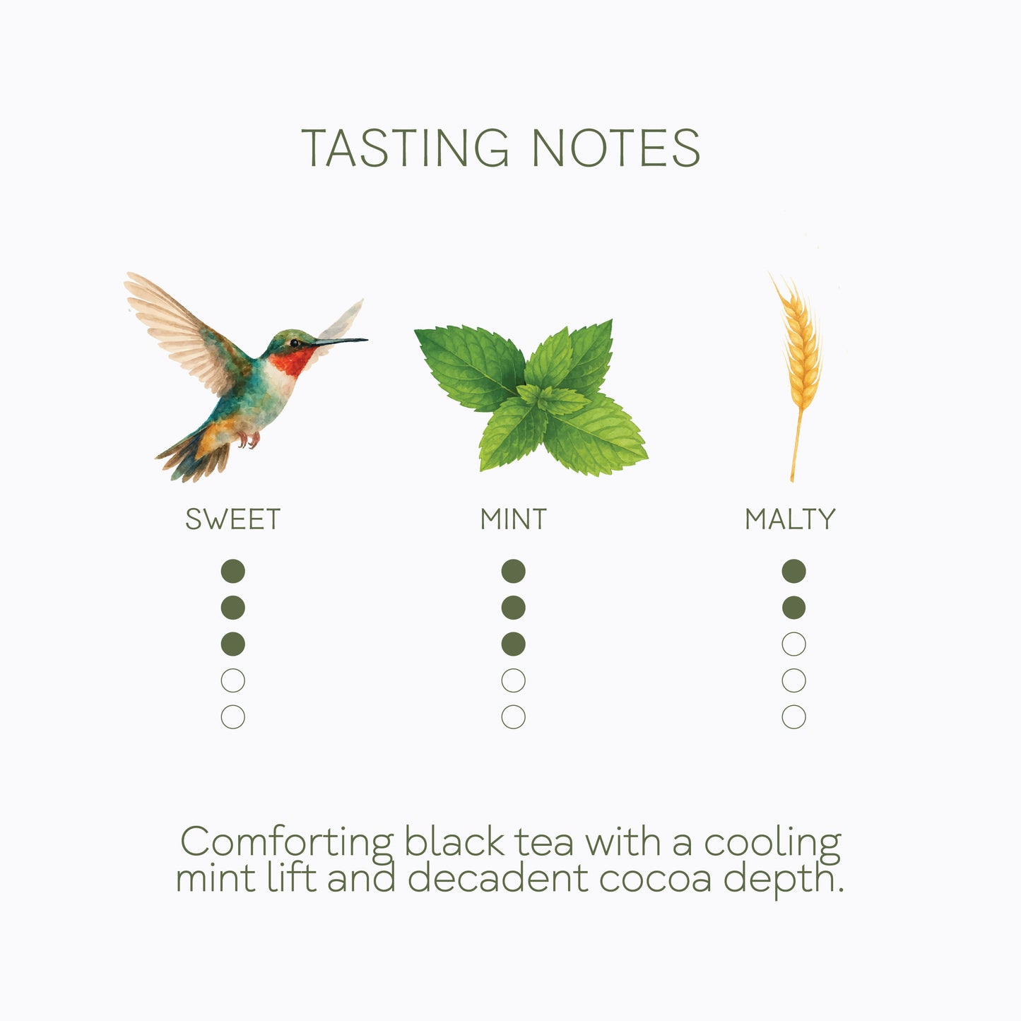 Chocolate Truffle Mint